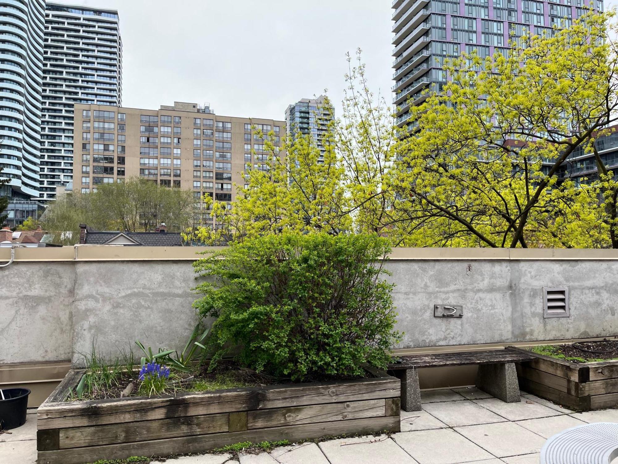 Neill Wycik Hotel Toronto Exteriör bild